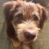 Jenny's profile picture