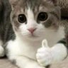 Teru 的头像