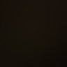 محمد's profile picture