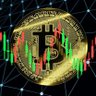 Фото профиля Crypto Duke