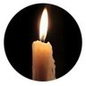 磊磊's profile picture
