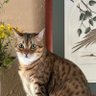 MadMarkus profil fotoğrafı