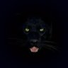 Profilbild von Ugazi Limhlophe