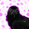 ♥でぃー和尚♥'s profile picture