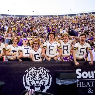LSU Painted Posse's profile picture