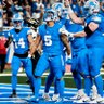 Фото профиля Lions Fan