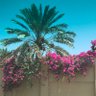 عمر 的头像