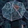 雨水 的头像