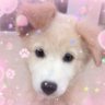 Profilbild von 𐔌 . 🍟 ⋮ frybie .ᐟ.ᐟ ˙ ₊ ꒱