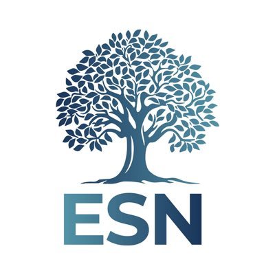 ESNgroup_EU's profile picture