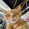 Profilbild von HassBro