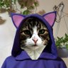 Profilbild von Michele