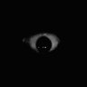 Profilbild von Sartu los