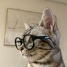 Dewa Huang's profile picture