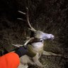 Jackoo 的头像