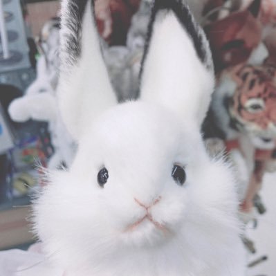 そよ's profile picture