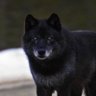 Kaan Belasız profil fotoğrafı