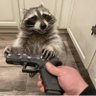 Profilbild von matthew andrus