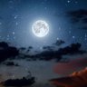 ℕ𝕠𝕩 𝕧𝕦𝕝𝕡𝕖𝕤🌠's profile picture