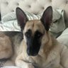 Jennyphus profil fotoğrafı