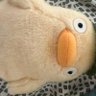 ky's profile picture