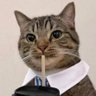 Profilbild von Mr Farruk