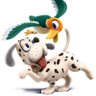 Profilbild von Darwin819