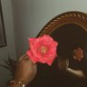 Фото профиля ♛C.🇹🇹🗽