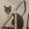 Profilbild von Jordi