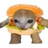 Terran Davis's profile picture