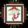 Amir Al Battashi's profile picture