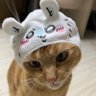 Jaysica_L's profile picture