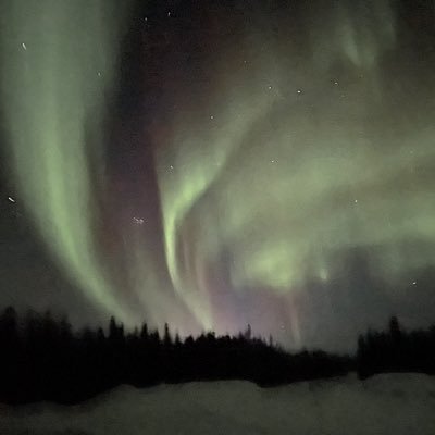 Tanya Kappo's profile picture