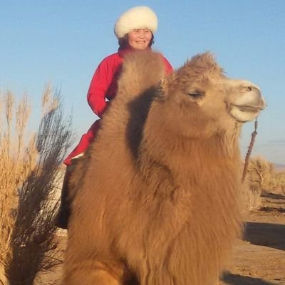 Сугар-Очирын Мөнхжаргал's profile picture