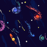 LittleCosmos's profile picture