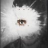 Charith profil fotoğrafı