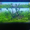 二战区 profil fotoğrafı