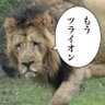 ネコガスキー's profile picture