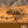 سلطان العبدالله profil fotoğrafı