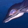 皮皮's profile picture