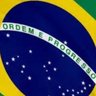 F22🇧🇷💚💛's profile picture