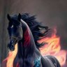 القعقاع's profile picture