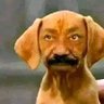 Profilbild von ......