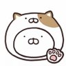 京衿's profile picture