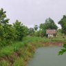 มีป่าว profil fotoğrafı