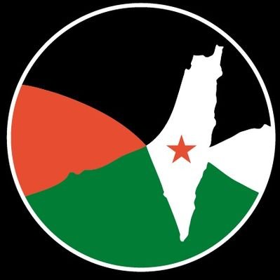 porpalestinaCL's profile picture