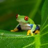 PuraVida profil fotoğrafı
