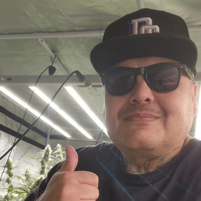 adamlovesgree98's profile picture