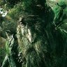 Profilbild von Treebeard