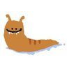 Terch's profile picture